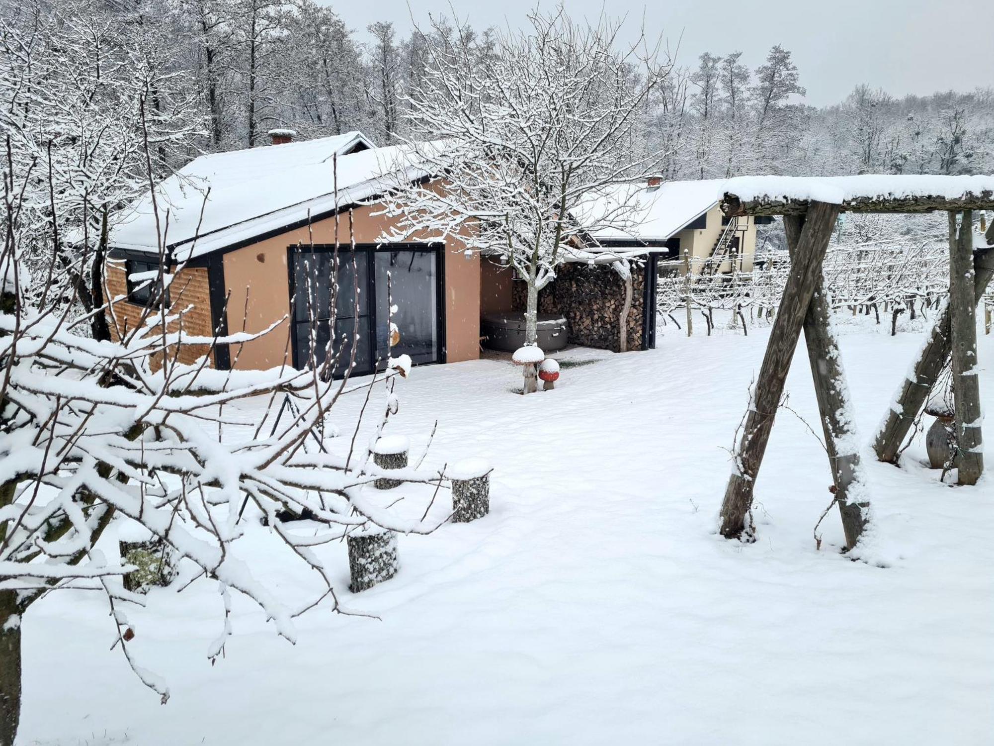 Gozdarjeva Hiska M&K Villa Dobrovnik Exteriör bild